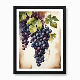 Vines,Black Grapes And Wine Bottles Painting (1) Art Print