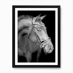 Horse Line Art 1 Art Print