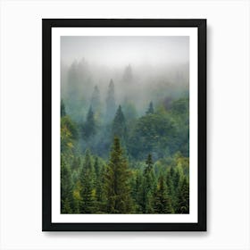 Misty Forest Art Print