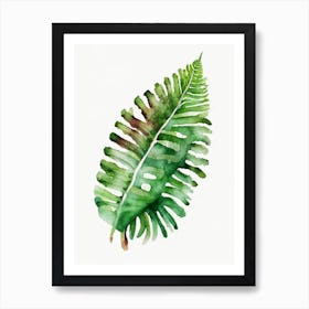 Tongue Fern Watercolour Art Print