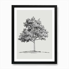 Ash Tree Minimalistic Drawing 1 Art Print