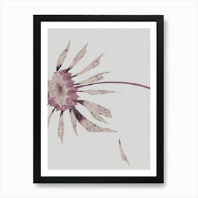 In Bloom Art Print