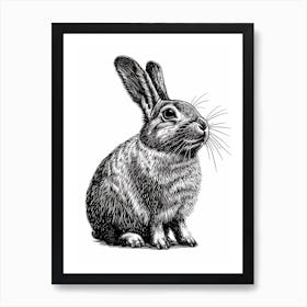 Chinchilla Blockprint Rabbit Illustration 4 Art Print