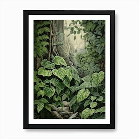 Vintage Jungle Botanical Illustration Pothos 2 Art Print