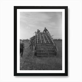 Hay Loading Machine In Operation, Lake Dick Project, Arkansas By Russell Lee Art Print