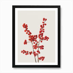 Vintage Winter Berries Art Print