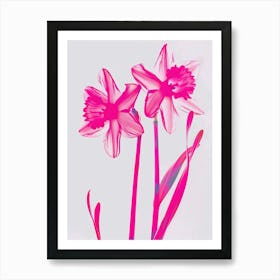 Hot Pink Daffodil Art Print