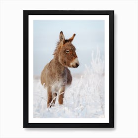 Winter Morning Donkey Art Print