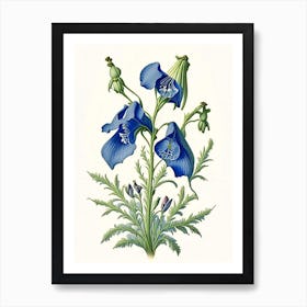 Bellflower Wildflower Vintage Botanical Art Print