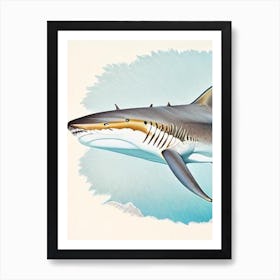 Reef Shark Vintage Art Print