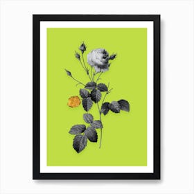 Vintage Provence Rose Black and White Gold Leaf Floral Art on Chartreuse n.0229 Art Print