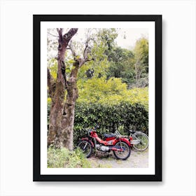 Two Motorcycles Parked Next To A Tree Art Print