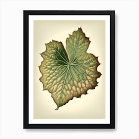 Malva Leaf Vintage Botanical 2 Art Print