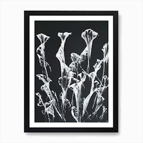 Abstract white flowers Art Print