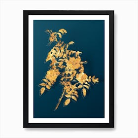 Vintage Reddish Rosebush Botanical in Gold on Teal Blue Art Print