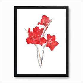 Ed Gladioli Sticker, Flower Illustration 1 Art Print