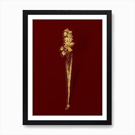 Vintage Turquoise Ixia Botanical in Gold on Red n.0125 Art Print