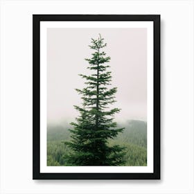 Single Tree Art Print