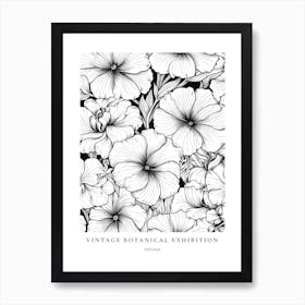 Petunia B&W Vintage Botanical Poster Art Print