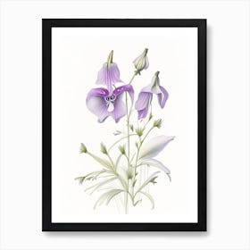 Bellflower Floral Quentin Blake Inspired Illustration 2 Flower Art Print