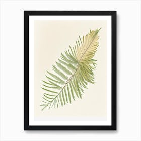 Cypress Leaf Illustration 2 Art Print