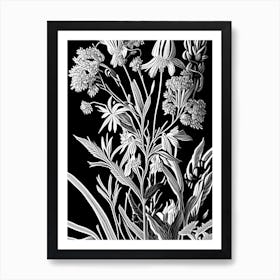 Prairie Milkweed Wildflower Linocut 2 Art Print
