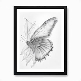 Butterfly Outline Greyscale Sketch 1 Art Print