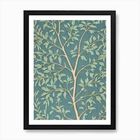 Kentucky Coffeetree 2 tree Vintage Botanical Art Print