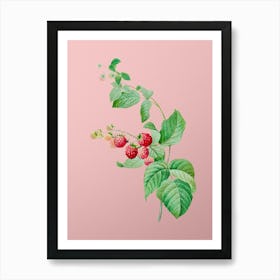 Vintage Red Berries Botanical on Soft Pink n.0133 Art Print