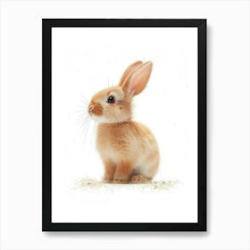 Satin Rabbit Nursery Illustration 4 Art Print