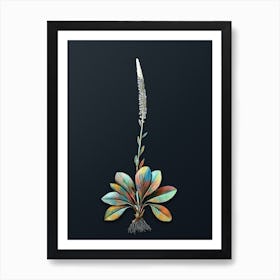 Vintage Blazing Star Botanical Watercolor Illustration on Dark Teal Blue n.0889 Art Print