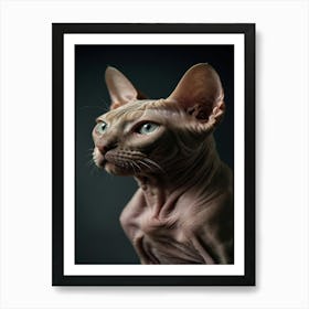Sphynx Cat 1 Art Print