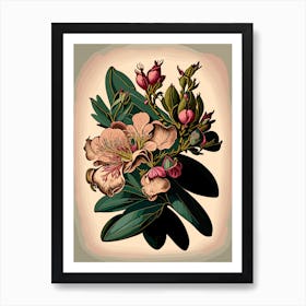 Rhododendron Wildflower Vintage Botanical 2 Art Print