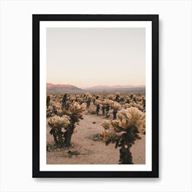 Joshua Tree Cactus Poster