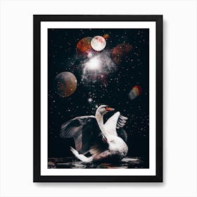 White Swan And Black Starry Sky Art Print