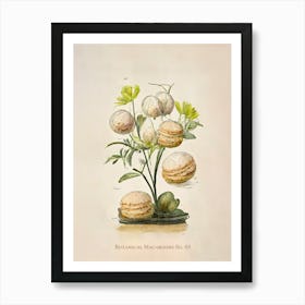 Vintage Botanical Macaroons 03 Art Print