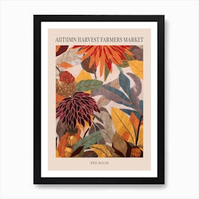 Fall Botanicals Bee Balm 1 Poster Art Print