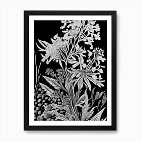 Wild Quinine Wildflower Linocut 2 Art Print