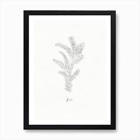 Fir Branch Line Art Art Print