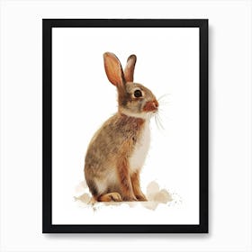 Britannia Petite Rabbit Nursery Illustration 2 Art Print