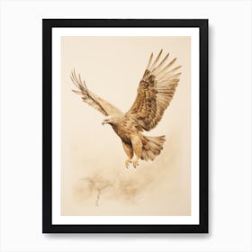 Vintage Bird Drawing Eagle 2 Art Print