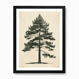 Cedar Tree Minimal Japandi Illustration 4 Art Print