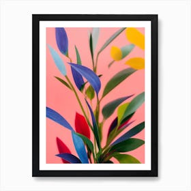 Baby Rubber Plant Colourful Illustration Art Print