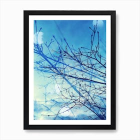 Blue sky trees Art Print