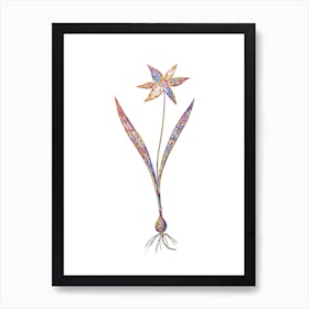 Stained Glass Tulipa Celsiana Mosaic Botanical Illustration on White Art Print