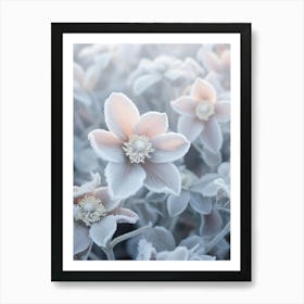 Frosty Botanical Lenten Rose 2 Art Print