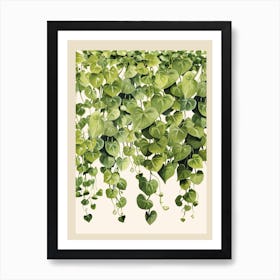 Green Hanging Ivy Art Print