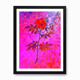 Rosa Redutea Glauca Botanical in Acid Neon Pink Green and Blue n.0283 Art Print