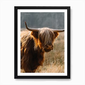 Highland Cow in the field | colorful travel photography Art Print