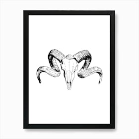 Animal skull Art Print